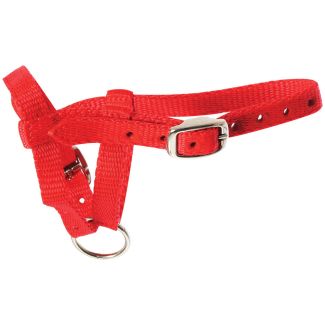 Halter Webbing Alpaca Small Red