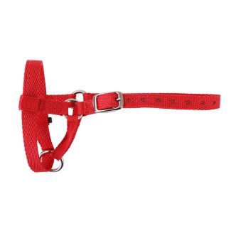 Halter Webbing Sheep Large Red