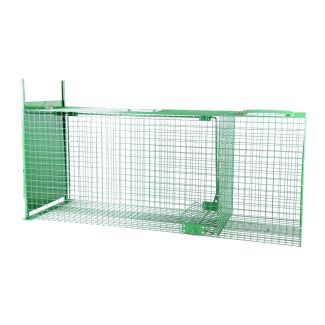 Trap Fox & Feral Cat Live Bait