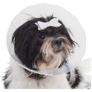 Genia Greencol Elizabethan Collar 10 cm