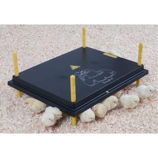 Chick Warmer 50 x 40 cm 240 V Adjustable
