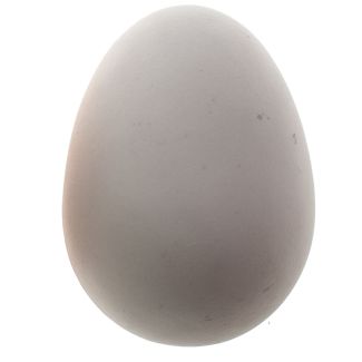 Brood Eggs Rubber White 10-Pack