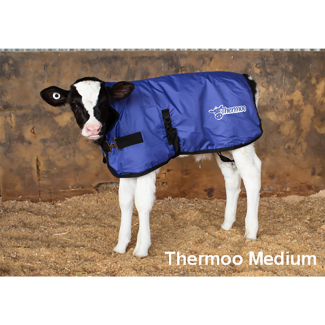Calf Cover Thermoo Medium Blue