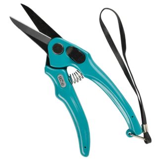 Footrot Shears B&B Plain 19cm