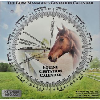 Gestation Calendar Mare