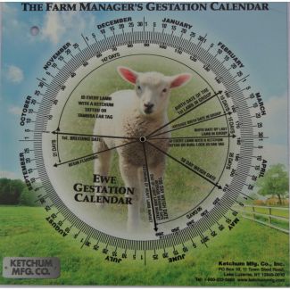 Gestation Calendar Ewe