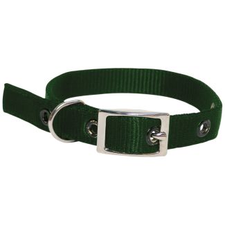 Goat Collar Nylon Buck Green