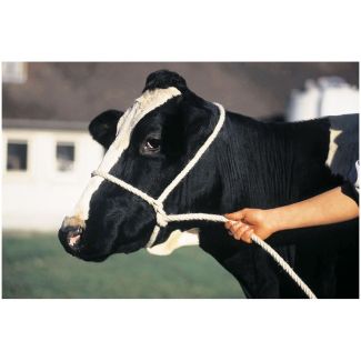 Halter Poly Rope Cow Black