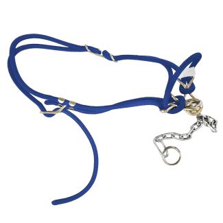 Halter Hackamore Heifer Blue