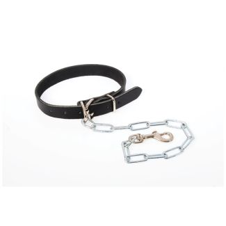 Dog Collar Leather w Chain size 4