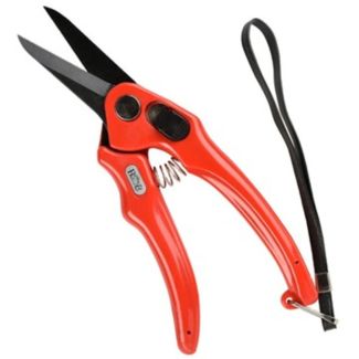 Footrot Shears B&B Serrated 19cm