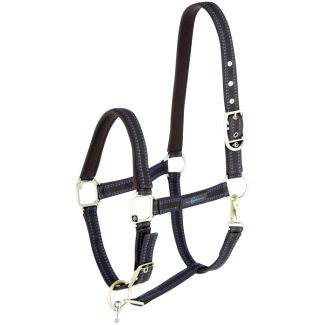 GoLeyGo Horse Halter cpt Sz4 Brown/LBlu