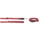GoLeyGo Dog Leash+Collar cpt Sm Red