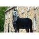 Bucas Cooler Competition Black 155cm/6'9