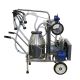 Portable Milking Machine - Single Cluster