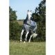 Bucas Rug Smartex TO 150g Grey 145cm/6'6