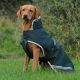 Bucas Dog Coat Greenline 50g 65cm