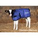 Calf Cover Thermoo Medium Blue