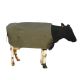 Cow Cover Thermal Emerge Large Friesian