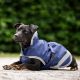 Bucas Dog Coat Freedom 50G 75cm