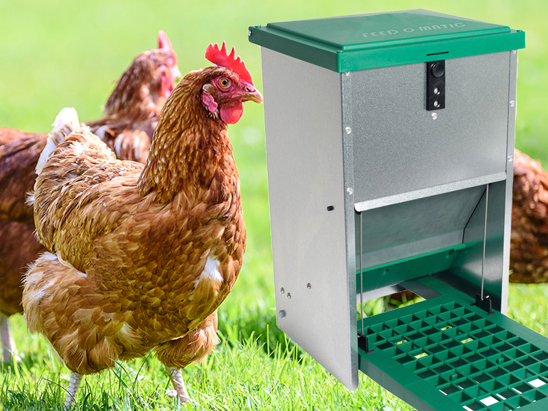 Poultry Feeders