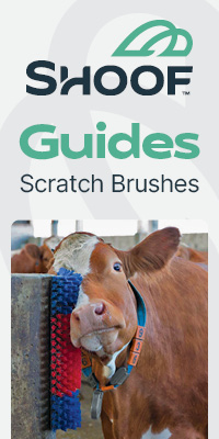 Scratch Brushes