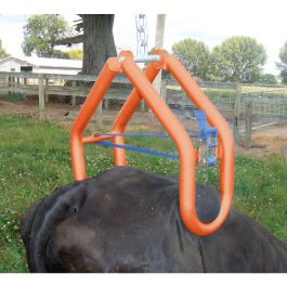 Belly strap for cow lift Kerbl Shoof