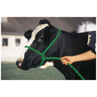 Halter Poly Rope Cow Green