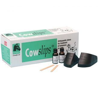 Cowslips Original Mixed L+R 10-pack