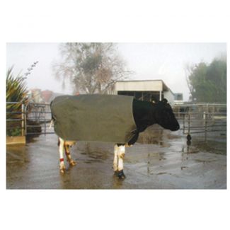 Cow Cover Thermal Emerge Large Friesian