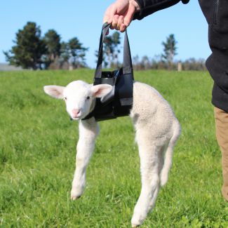 Lamb Carry & Weigh Sling