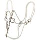 Halter Hackamore Calf (White)