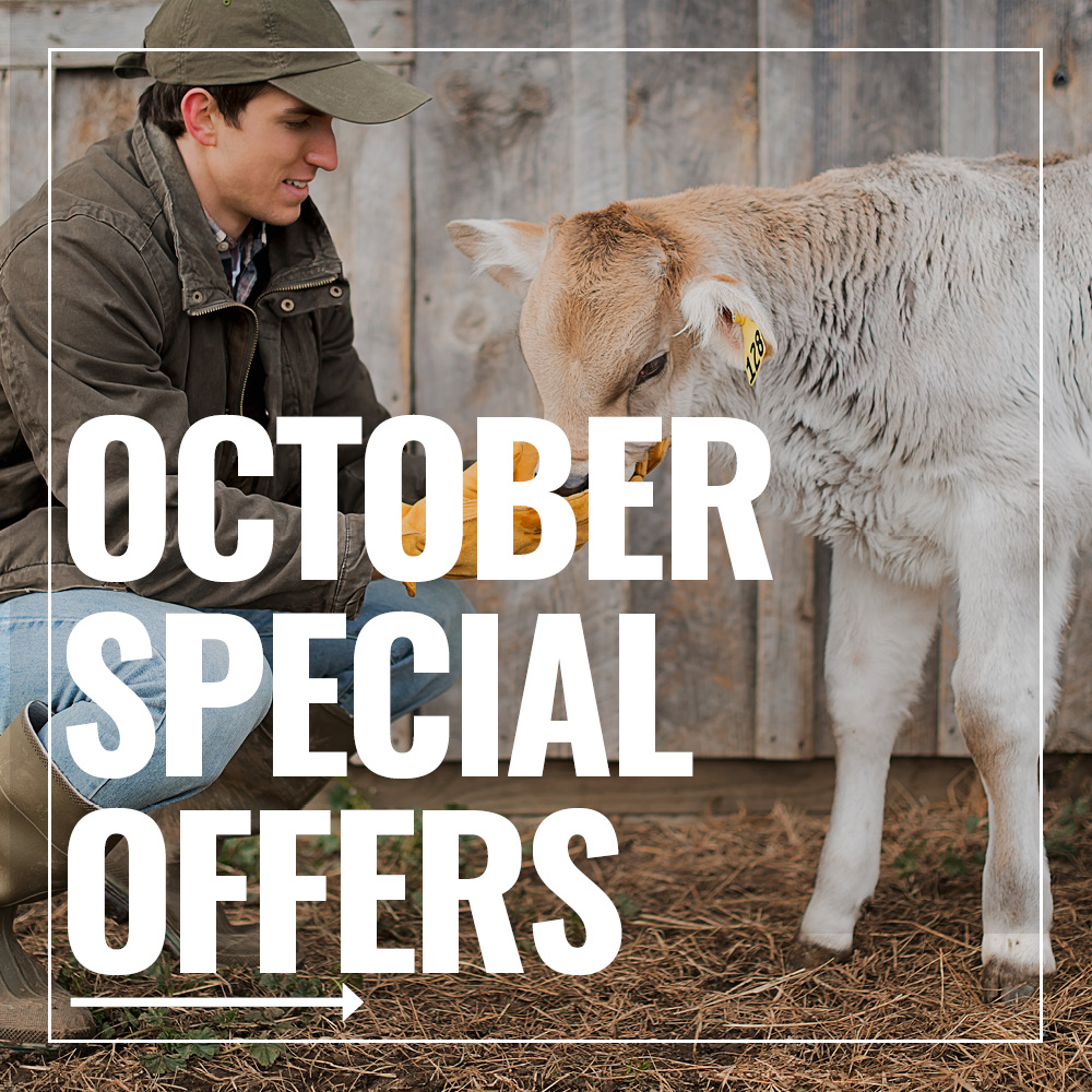 September Specials